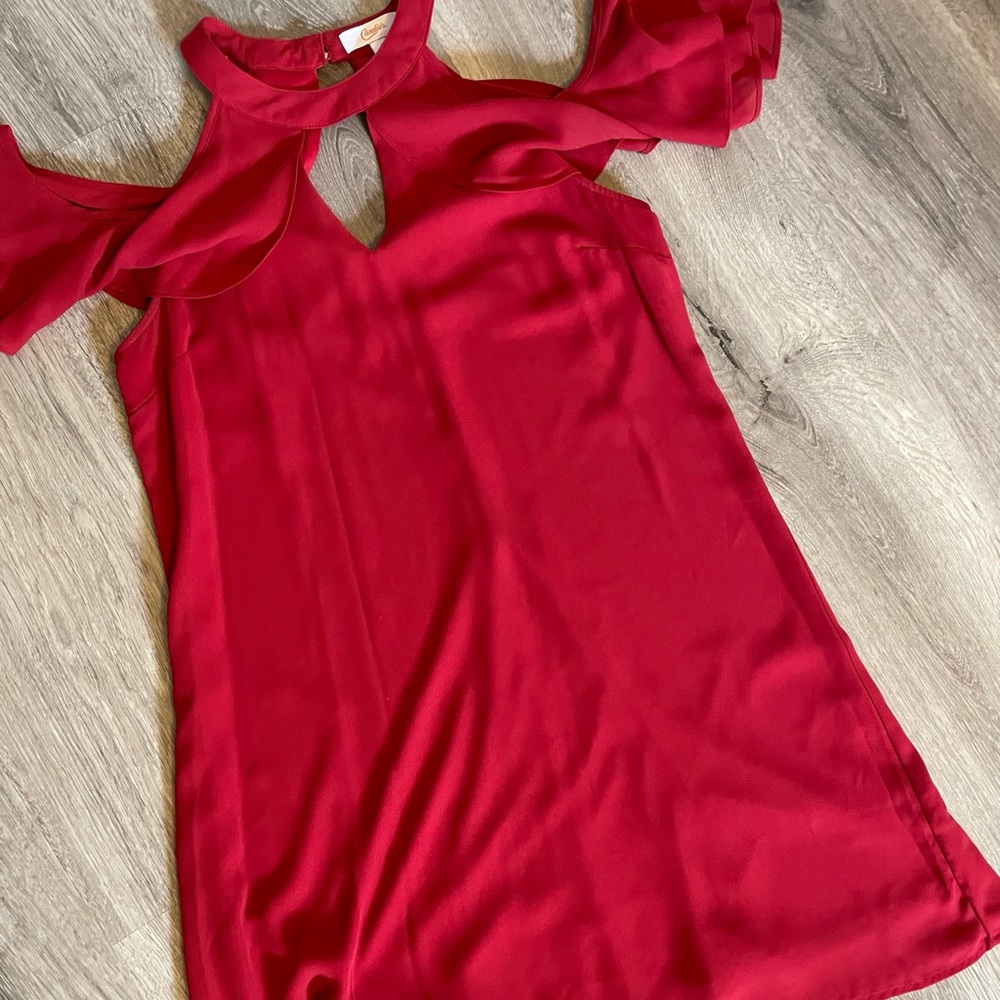 Red.  Not pink.  Dress. Ruffle type sleeve. Button in back.